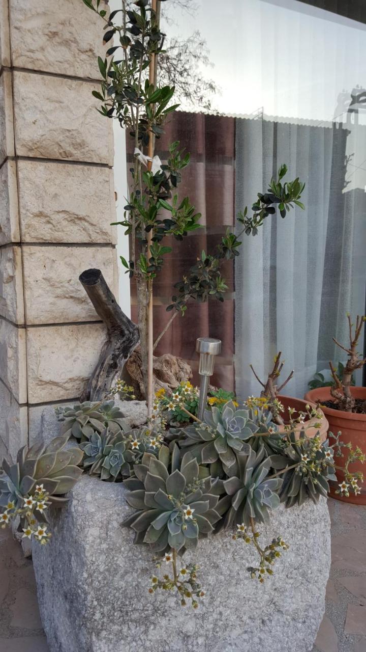 Apartmani Antunovic Podgora Exterior photo